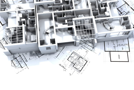 The real estate developer: The project director