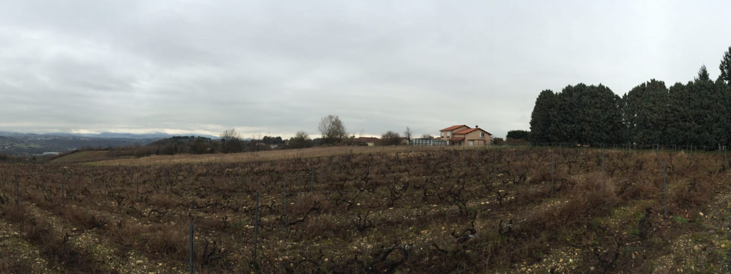 Maisons Individuelles Avec Vues